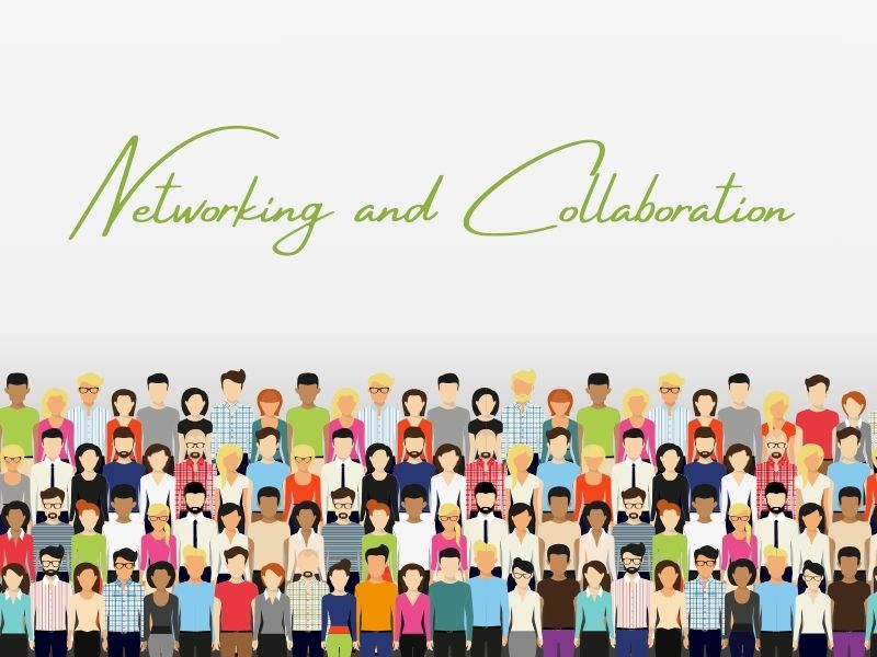 Networking & Collaboration